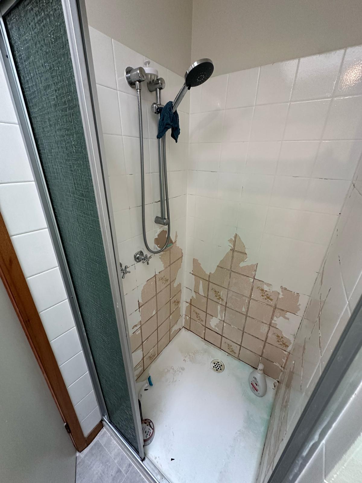 Before - Wet Wall Panels